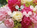 Jeu Jolie évasion de papier peint de fleur  en ligne