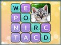 Jeu Images de mots cachés  en ligne