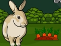 Jeu Sauvez le lapin gris  en ligne