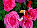 Jeu Escapade Rose Précieuse  en ligne