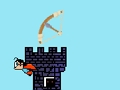 Jeu Chasseur d'oiseaux  en ligne