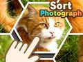 Jeu Trier la photographie  en ligne