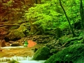 Jeu Escapade paisible dans la forêt arc-en-ciel  en ligne
