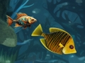 Jeu Amusement de poisson sans fin  en ligne