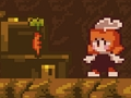 Jeu La forêt perdue  en ligne