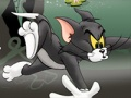 Jeu Tom et Jerry Chase à Marsh  en ligne