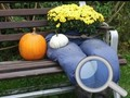 Jeu Jardin d'automne Trouvez 100 papillons  en ligne