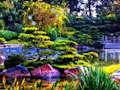 Jeu Fabuleux évasion de jardin fleuri  en ligne