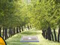 Jeu Paire de Cat Escape  en ligne