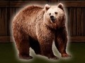 Jeu Sauvez le grizzli  en ligne