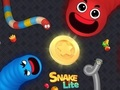 Jeu Ver Serpent Lite  en ligne