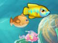 Jeu Mangez du petit poisson  en ligne