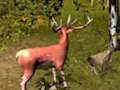 Jeu Chasse au cerf  en ligne