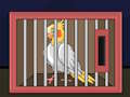 Jeu Relâchez l'oiseau calopsitte  en ligne