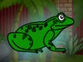 Jeu Sauvez le crapaud vert du donjon  en ligne