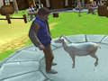 Jeu Simulateur de chèvre folle  en ligne