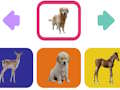 Jeu Bébés animaux  en ligne