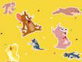 Jeu Le spectacle Tom et Jerry Trouvez-le !  en ligne
