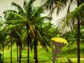 Jeu Échapper au pays des noix de coco  en ligne