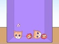 Jeu Évolution des mèmes de chat  en ligne
