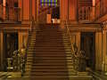 Jeu Sortie du chien  en ligne