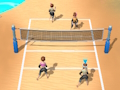 Jeu Beach-volley 3D  en ligne