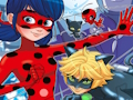 Jeu Coccinelle Trouvez les Différences  en ligne