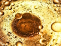 Jeu Puzzle de bulles d'huile  en ligne