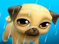 Jeu Mon animal de compagnie virtuel Louie le carlin  en ligne