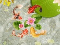 Jeu Étang à poissons Koi  en ligne