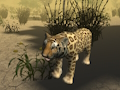 Jeu Simulateur de chasse au guépard africain  en ligne