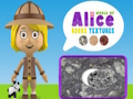 Jeu Textures du monde d'Alice Rocks  en ligne