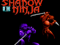 Jeu L'Ombre du Ninja  en ligne