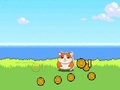 Jeu Cliqueur Hamster Kombat  en ligne