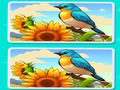 Jeu Trouvez les Différences Le Jardin  en ligne