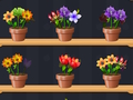Jeu Bon maître des fleurs  en ligne