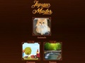 Jeu Maître du puzzle  en ligne