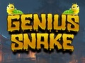Jeu Serpent de génie  en ligne