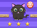 Jeu Défi chat  en ligne