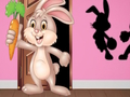 Jeu Trouvez le lapin Hopkin  en ligne