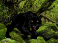 Jeu Échapper à la forêt de la Panthère Noire  en ligne
