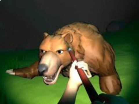 Jeu Survie : Forêt mystérieuse  en ligne