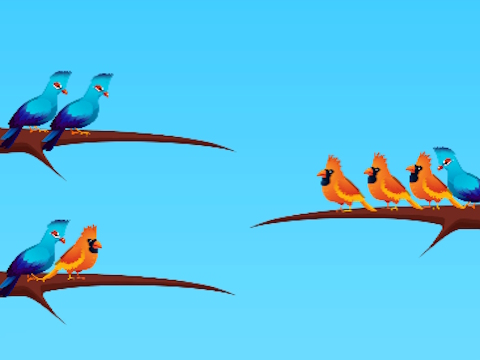 Jeu Tri des oiseaux  en ligne