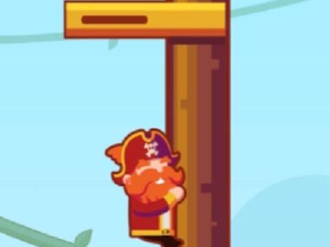 Jeu Pirates en ligne