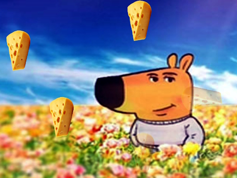 Jeu Fromage caché au froid cool  en ligne