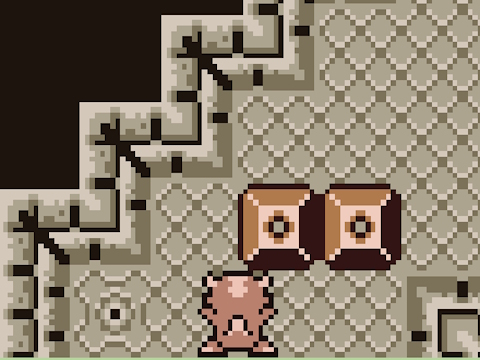 Jeu Dragon Sokoban  en ligne