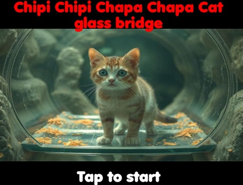 Jeu Chipi Chipi Chapa Chapa Cat Glass Bridge  en ligne