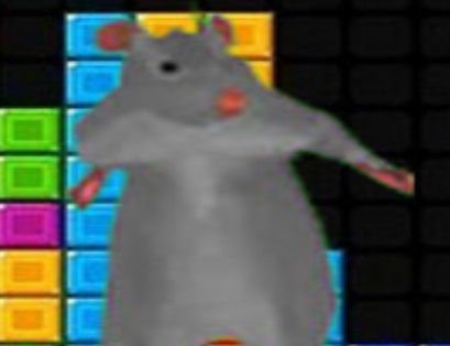 Jeu Ratomilton Falling Blocks  en ligne
