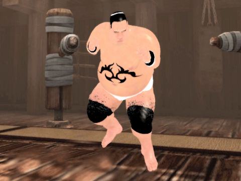 Jeu Sumo Fury  en ligne