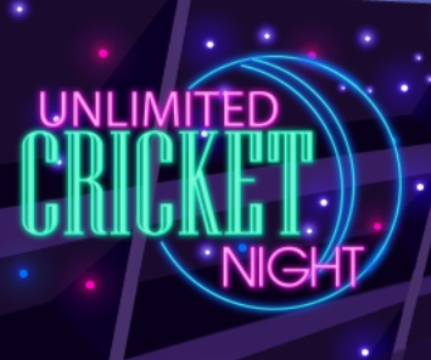 Jeu Nuit de cricket illimitée  en ligne